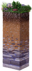 Sistemas Cubierta Verde - SAATE Premium Building Systems